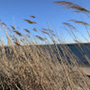 Meet your Posher, Andelli